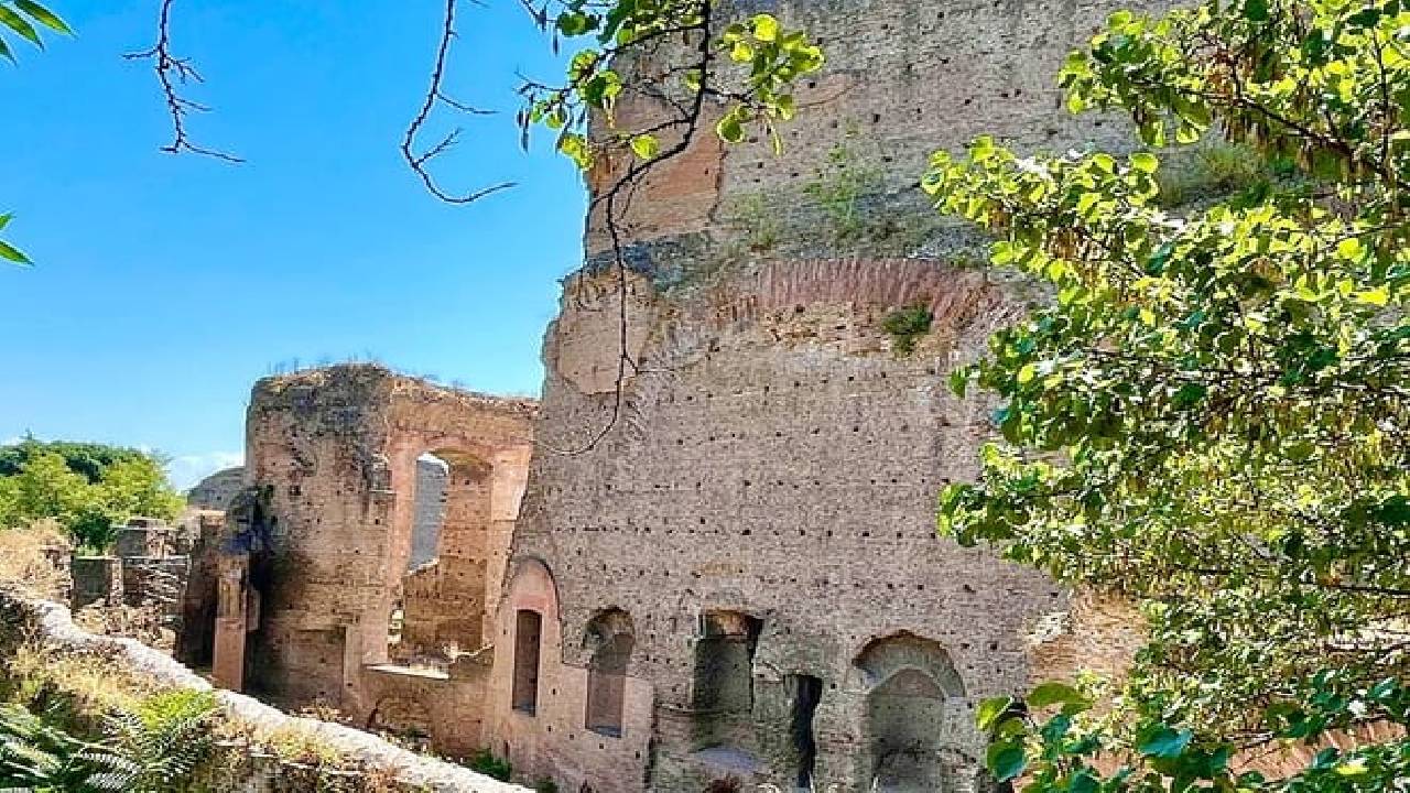 Rome Colosseum, & Catacombs Underground Tours Tickets & Transfer 