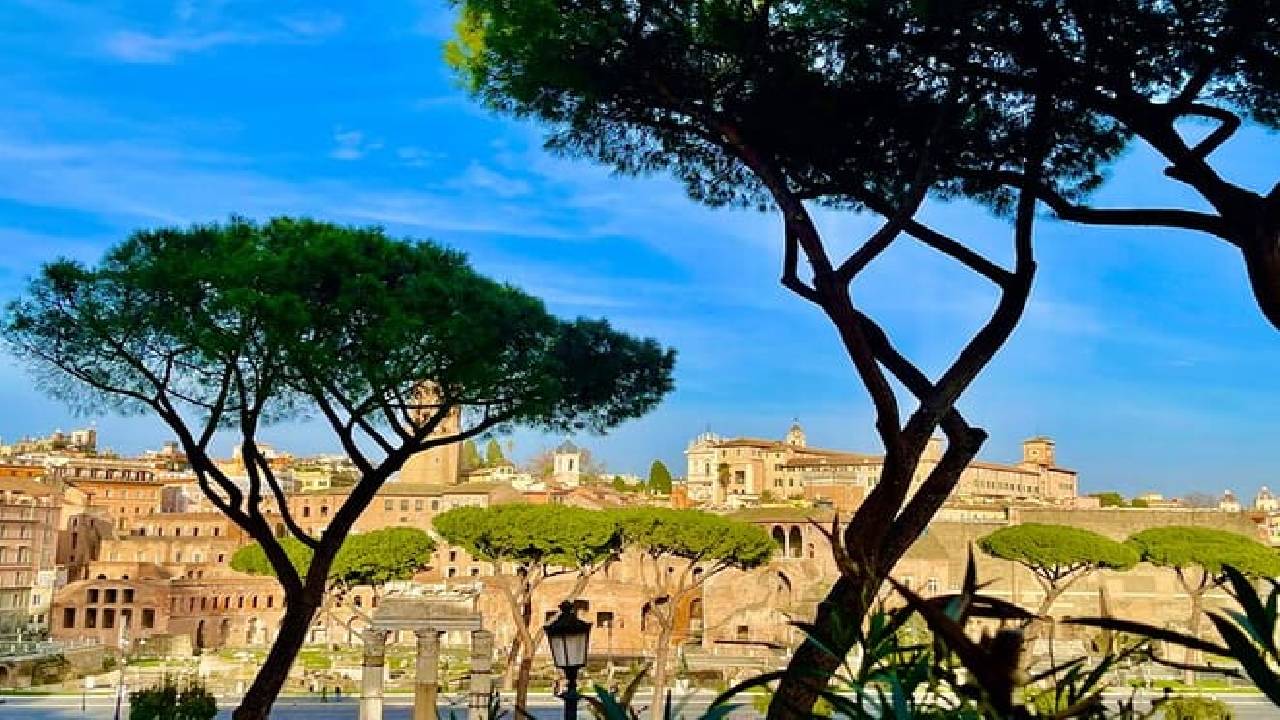Rome Capitoline Museums Private Guided Tour and Panoramic Views