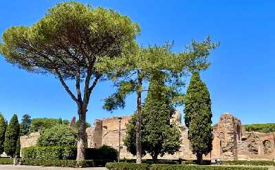 Rome Exclusive Caracalla Bath Private Guided Tour VIP Entry