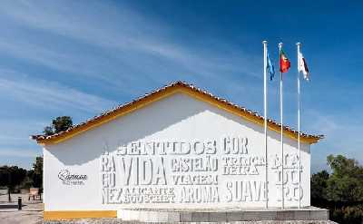 Évora Full-Day Tour with Chapel of Bones and Wine Experience