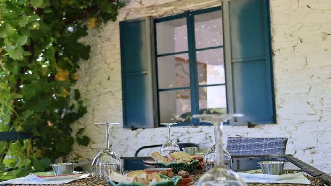 PRIVATE DOURO VALLEY: 2 boutique wineries, lunch & 1-h boat tour