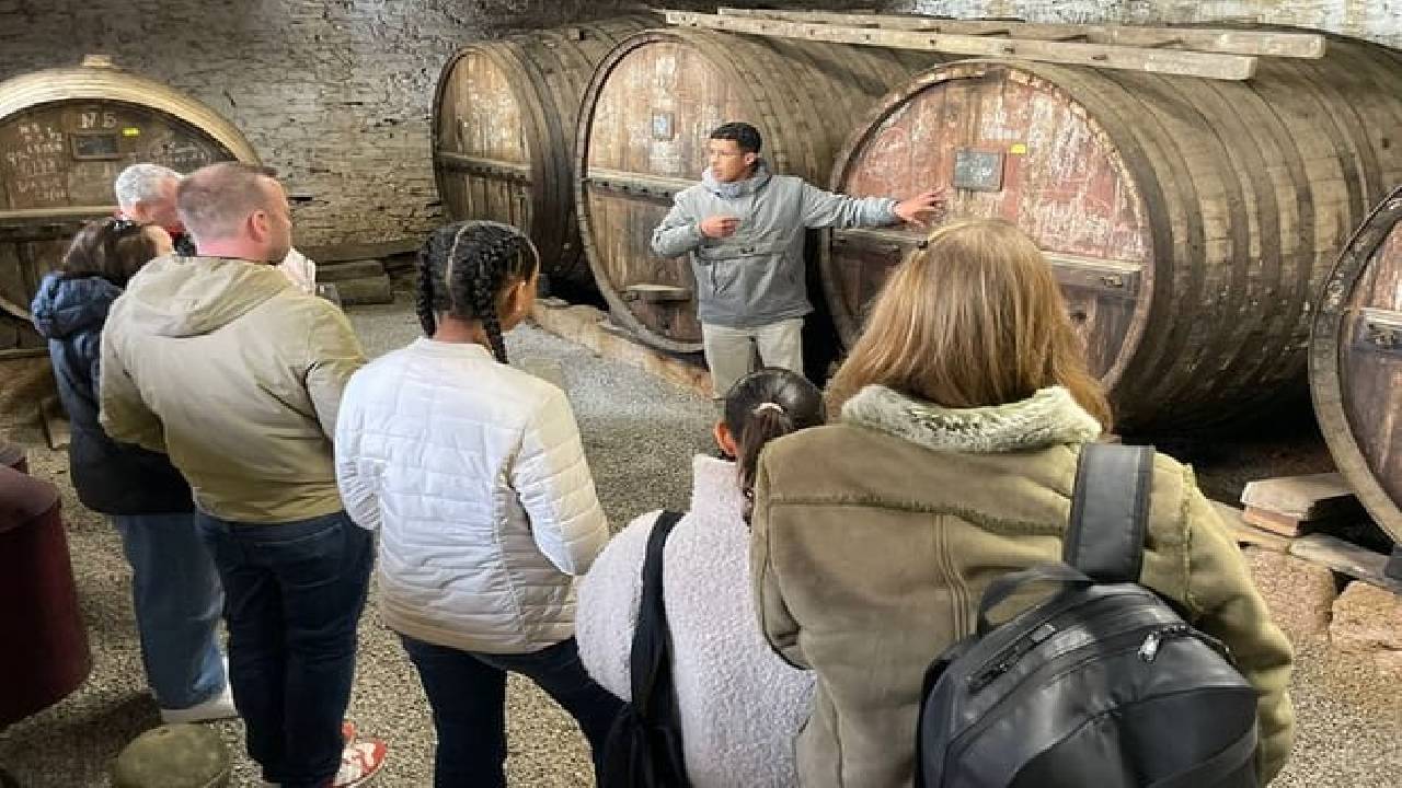 PRIVATE DOURO VALLEY: 2 boutique wineries, lunch & 1-h boat tour