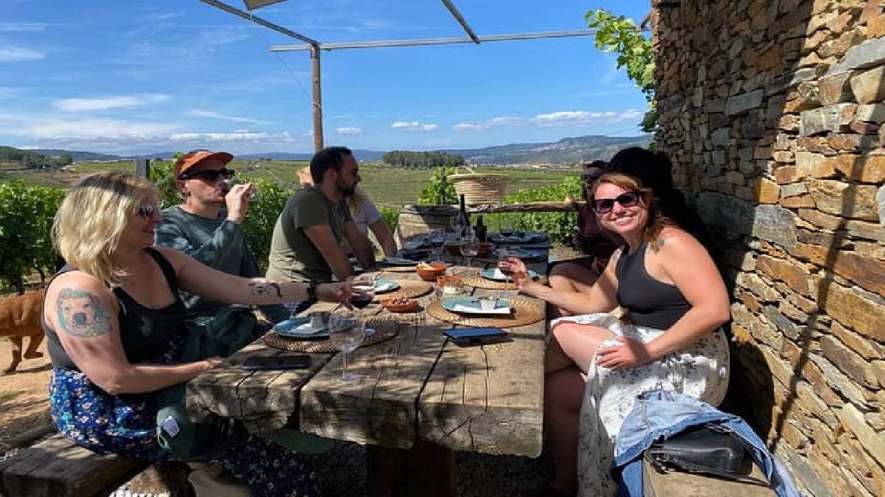 PRIVATE DOURO VALLEY: 2 boutique wineries, lunch & 1-h boat tour