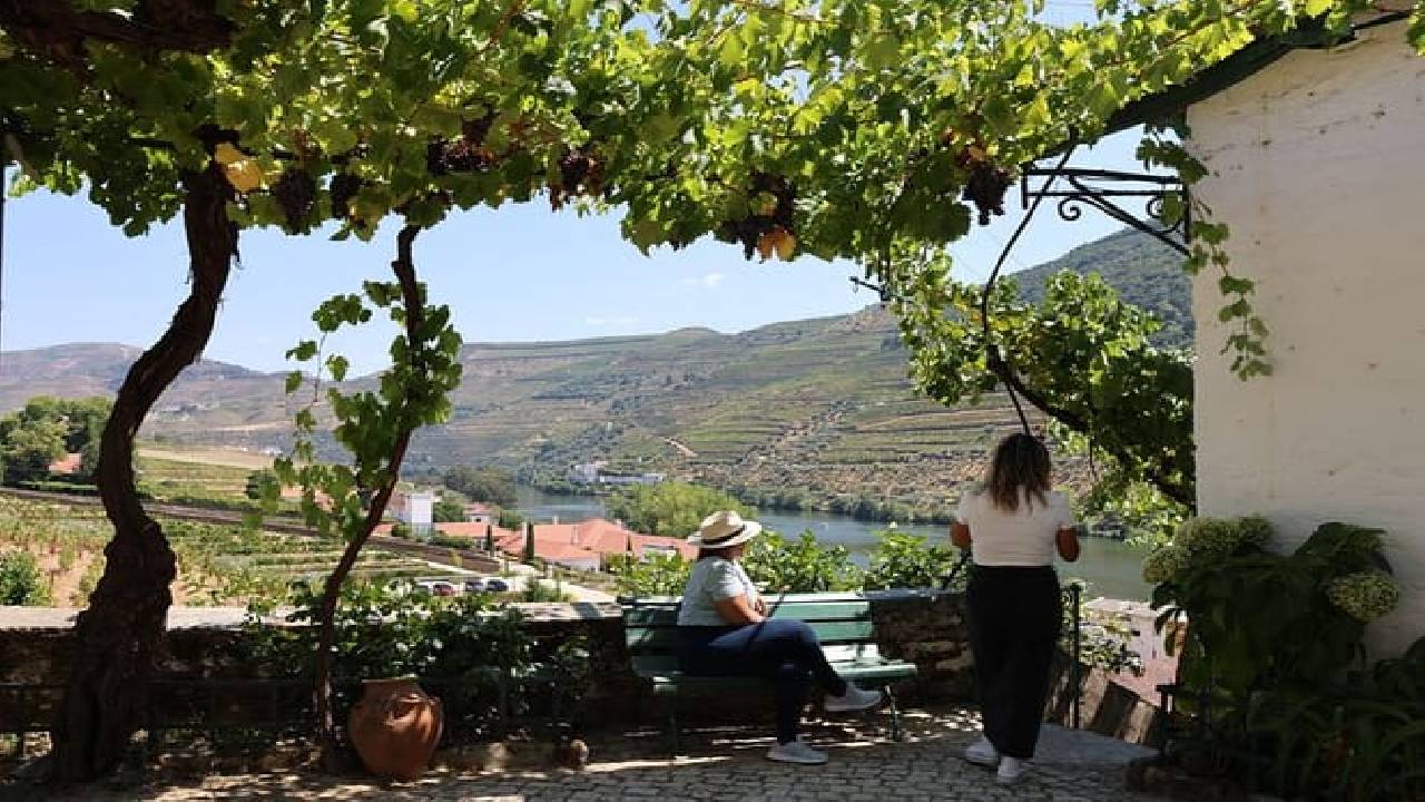 PRIVATE DOURO VALLEY: 2 boutique wineries, lunch & 1-h boat tour