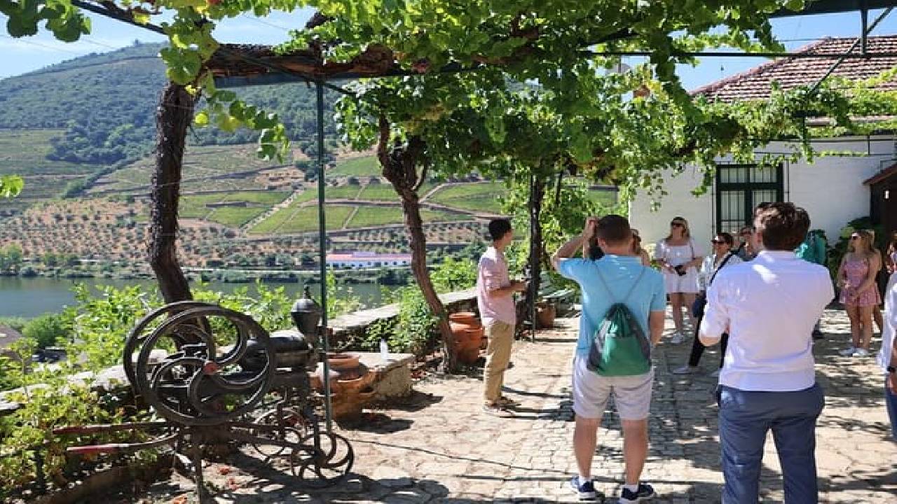 PRIVATE DOURO VALLEY: 2 boutique wineries, lunch & 1-h boat tour