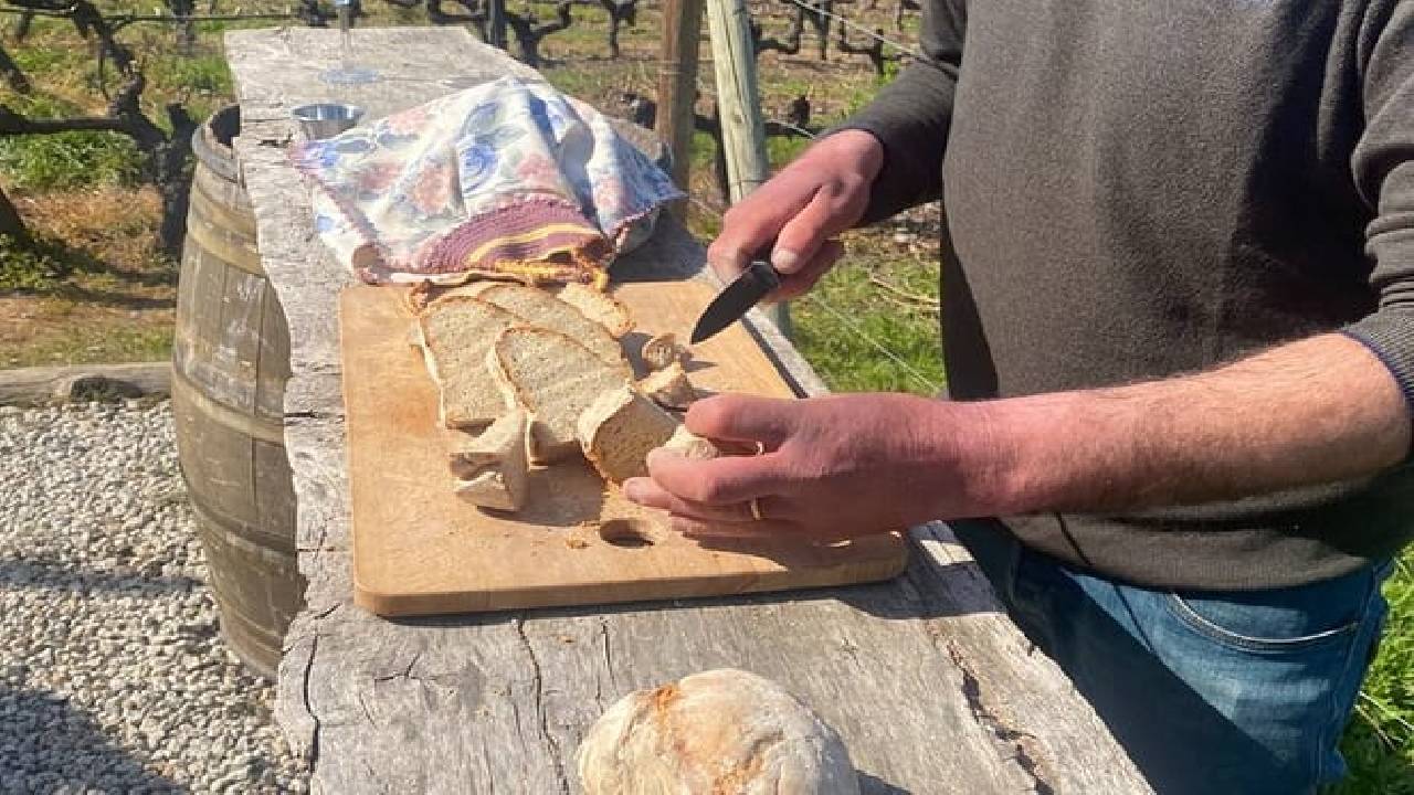 PRIVATE DOURO VALLEY: 2 boutique wineries, lunch & 1-h boat tour