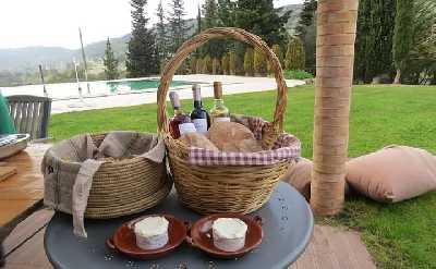 Bread, Wine&Cheese, The Natural Taste