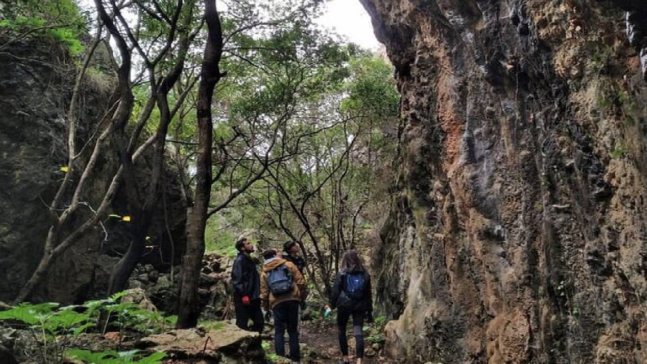 Full Day Rock Climb Adventure Trail from Lisbon with Lunch 