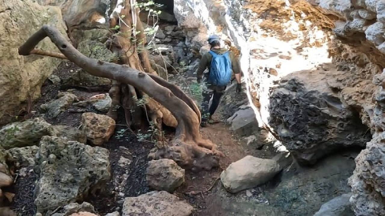 Full Day Rock Climb Adventure Trail from Lisbon with Lunch 