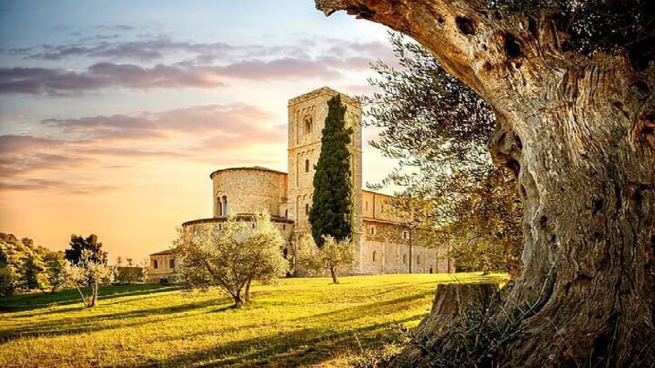 From Rome: Tuscany Hills, Wine Tasting & Montepulciano Lunch