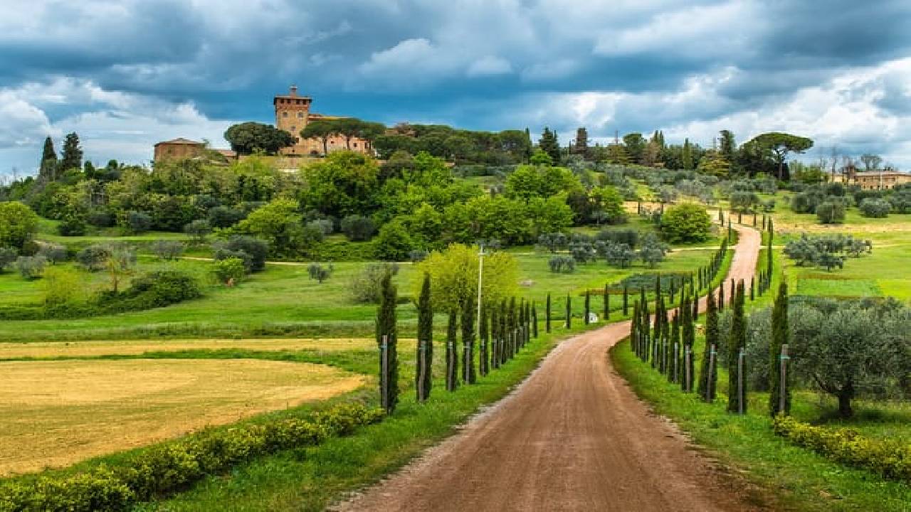 From Siena: Best of Tuscany Wines & Lunch in Montepulciano
