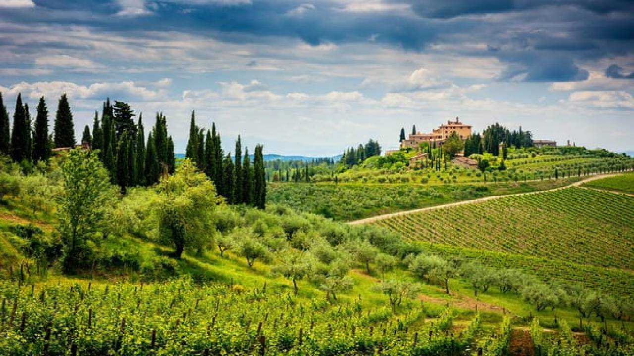 Half Day Escape to Chianti: Taste the Heart of Tuscany