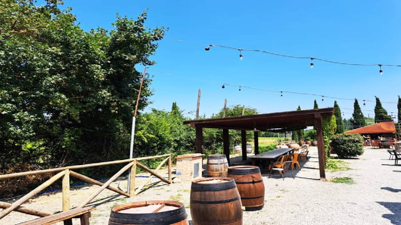 Half Day Escape to Chianti: Taste the Heart of Tuscany