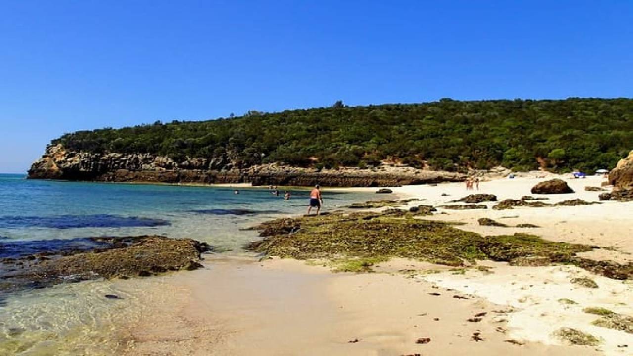 Arrábida Snorkeling & Wine 