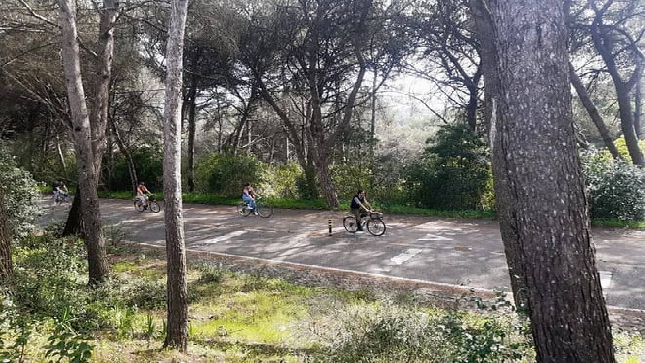 Monsanto Vintage Bike Tour