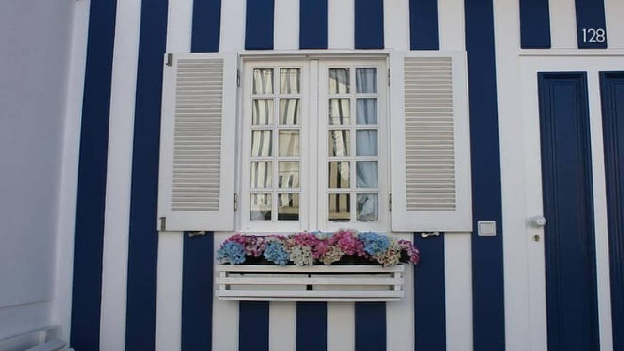 Aveiro Small-Group: Half Day Tour with Boat Ride