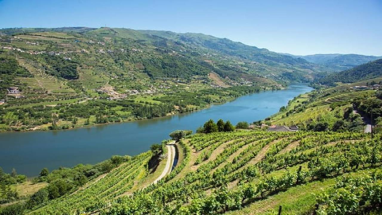 Douro Valley: Small-Group Tour Wine Tasting, Lunch & River Cruise