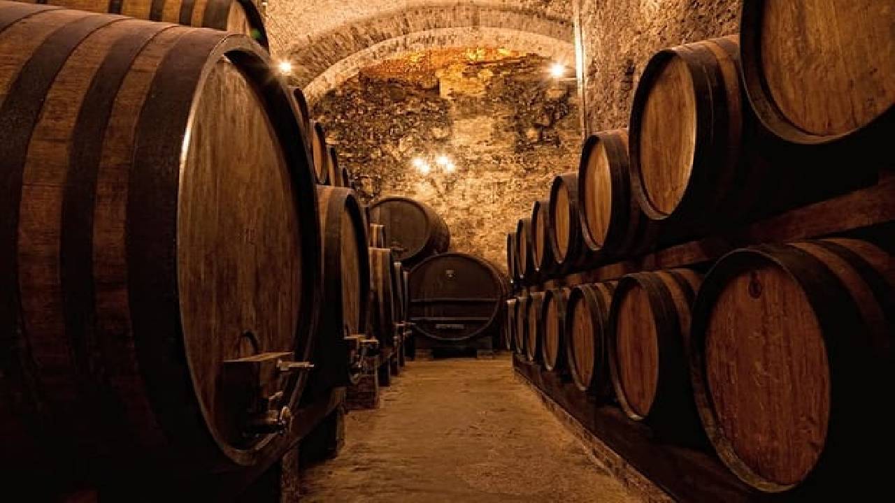 Private Porto Half Day Tour: Port Wine Cellars and Cheese Tasting