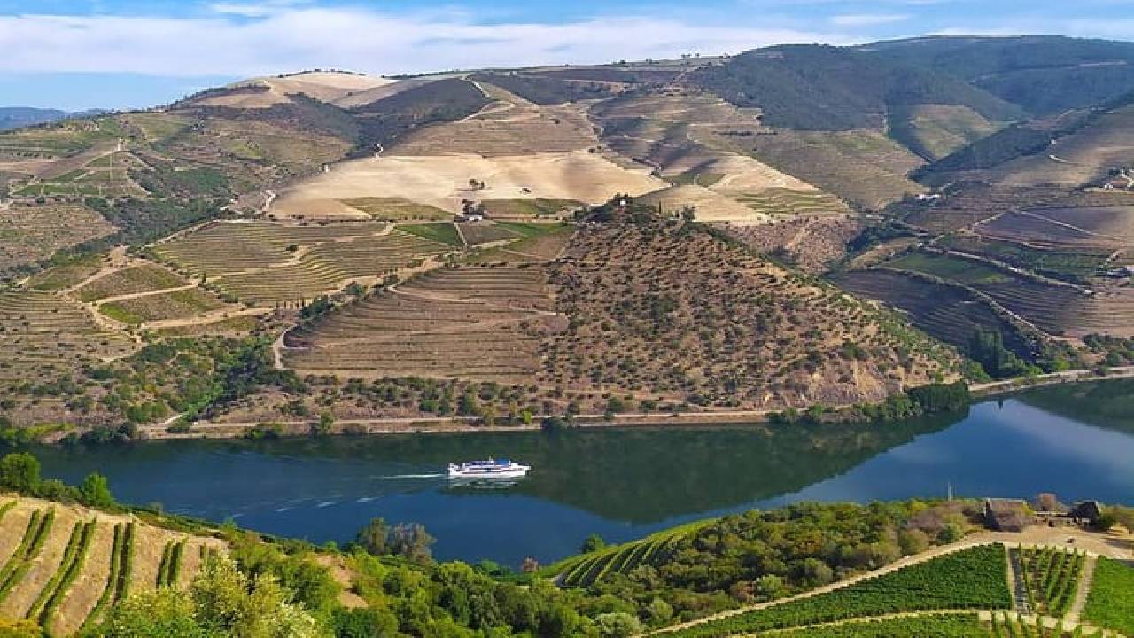 Wine Venture and Boat Trip in Douro Valley from Porto