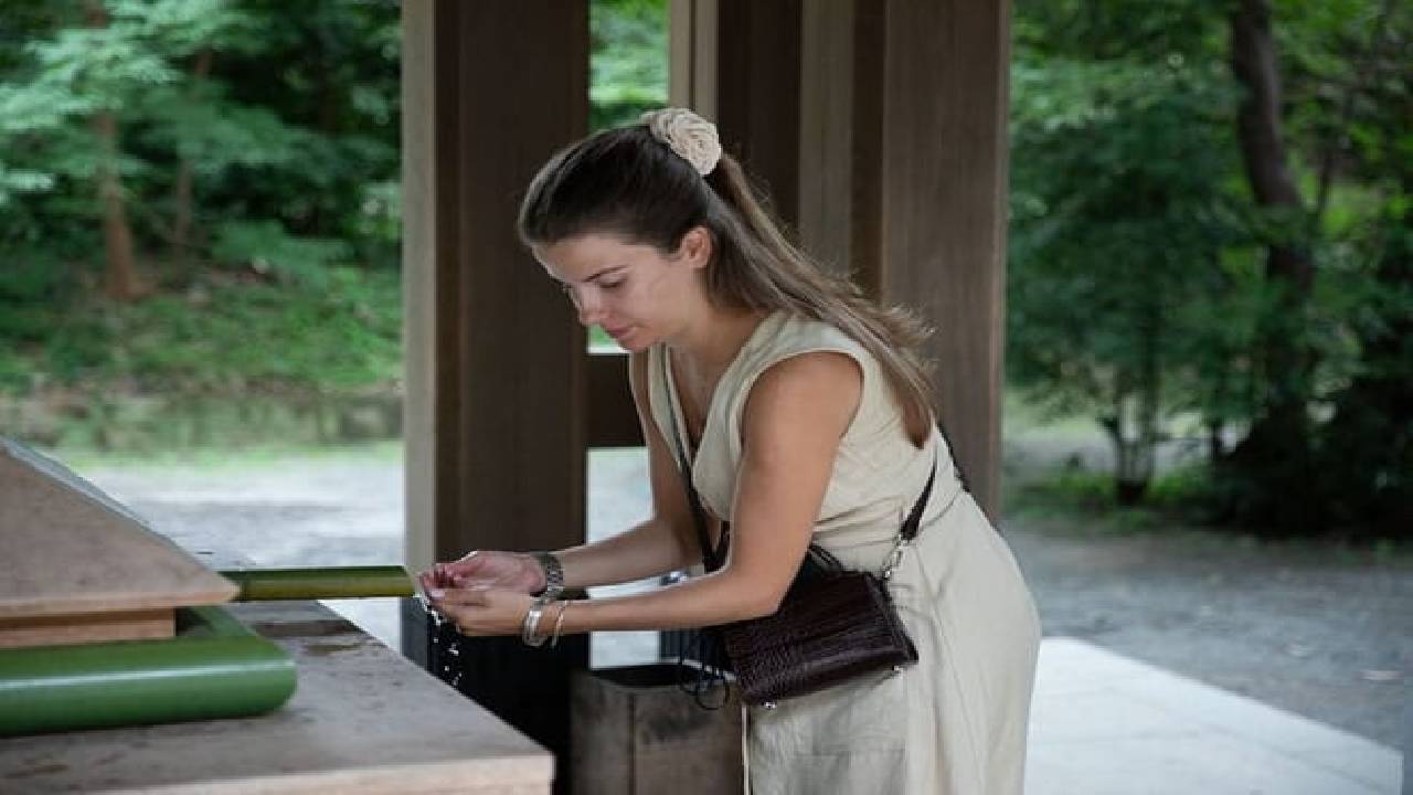 Harajuku Meiji Shrine Walking Tour in Tokyo