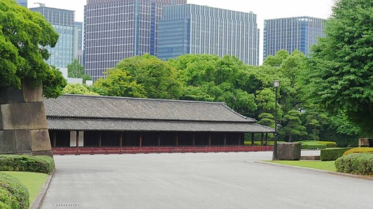 Imperial Palace East Garden and Edo Castle Walking Tour in Tokyo