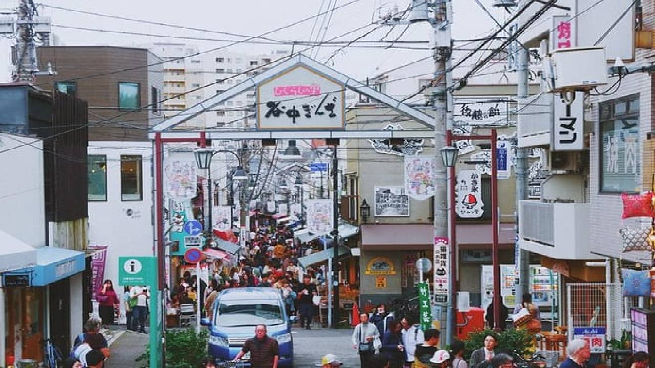 The Old Quarter of Tokyo - Yanaka Walking Tour