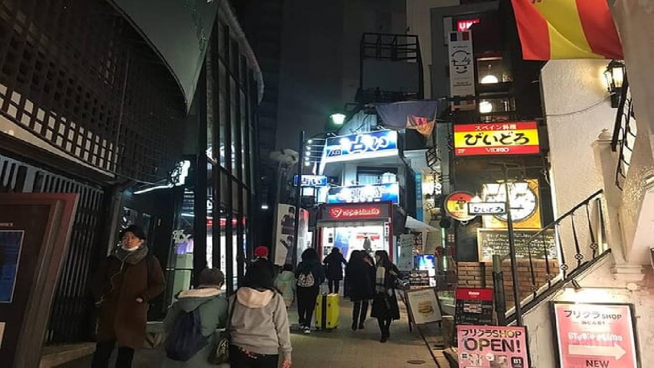 Tokyo Shibuya Crossing & Hidden Streets Walking Tour