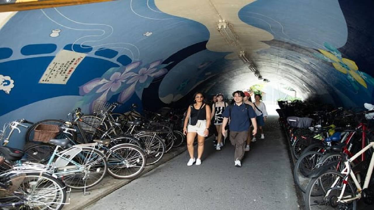 Tokyo Shibuya Crossing & Hidden Streets Walking Tour