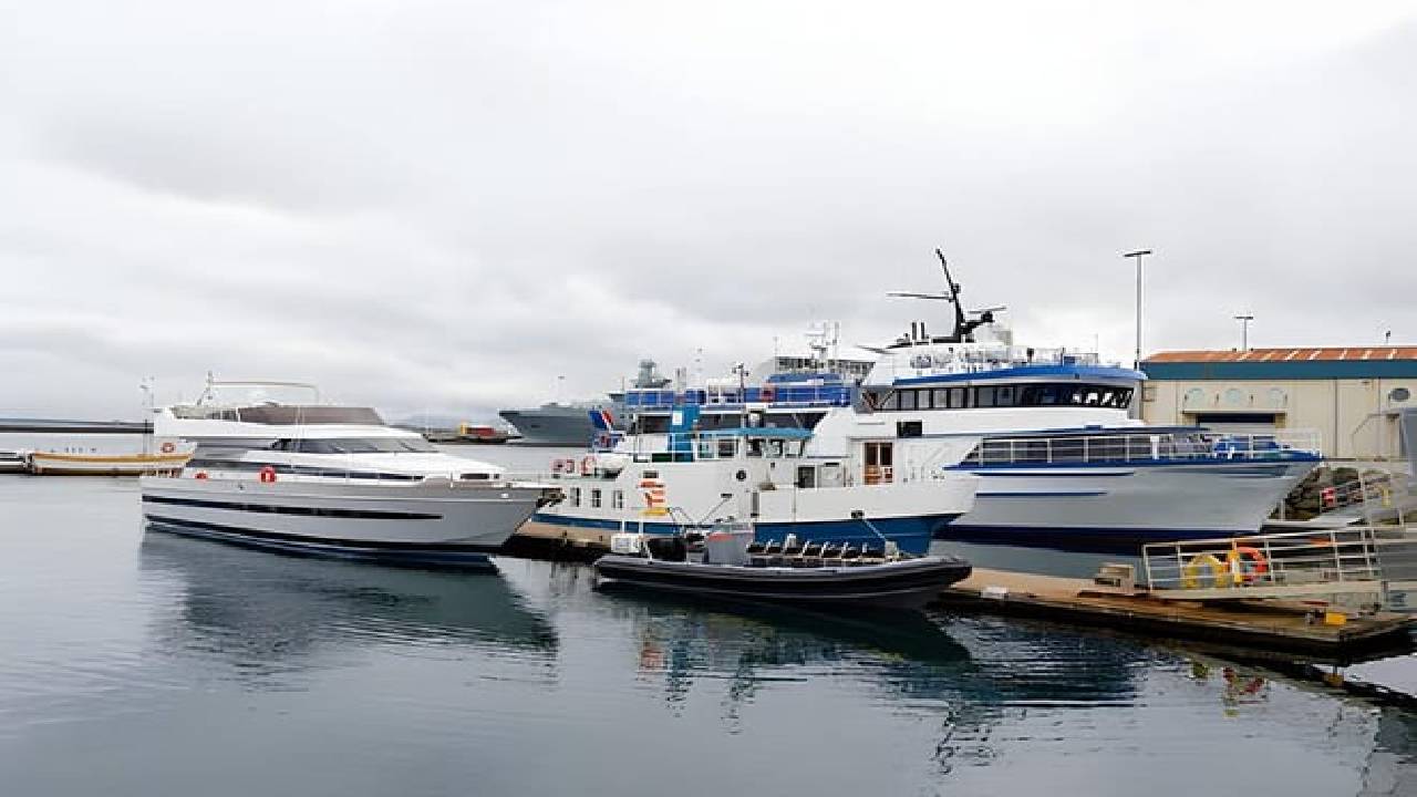Reykjavik: Private Cruise Terminal To/From Hotel Transfer
