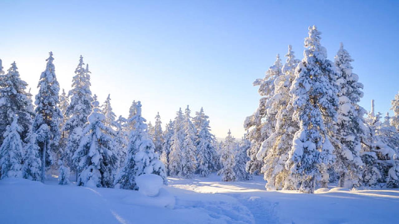 Family Snowmobile Sledge Ride