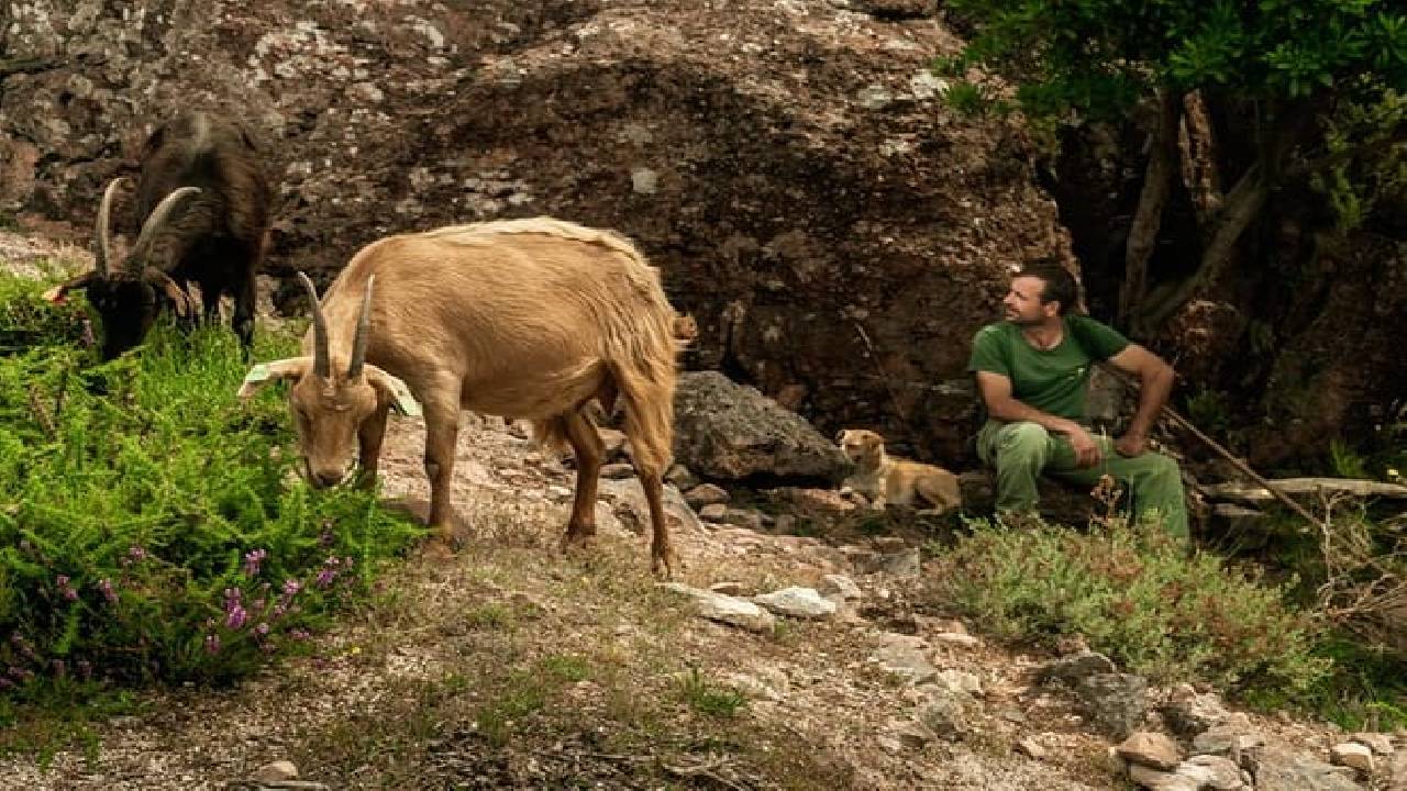Hiking and Swimming in Geres National Park