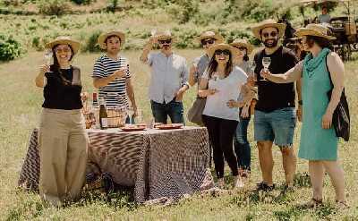 Montserrat Private Day Trip with Codorniu Cava Cellar Tasting
