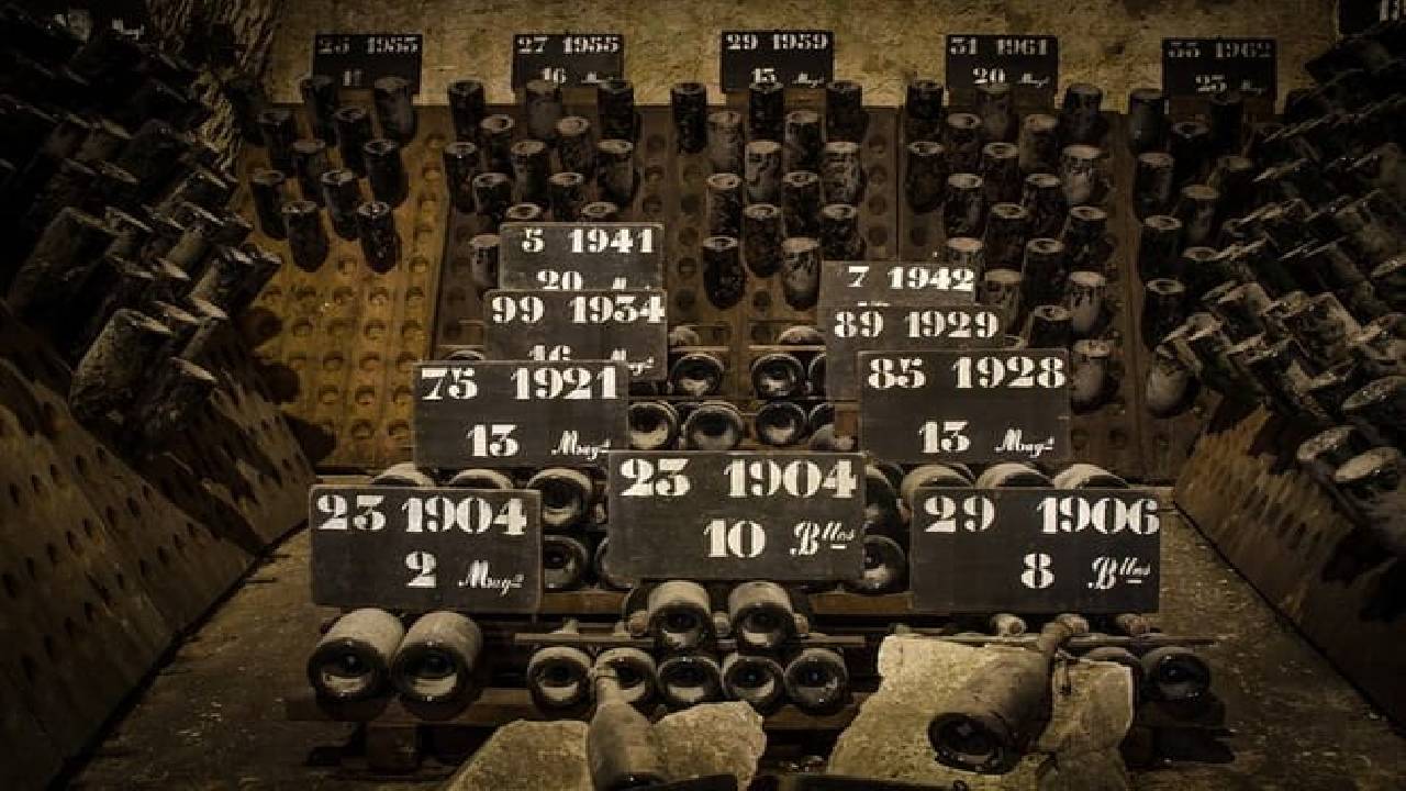 Private Champagne Day Trip - Two Vineyards of Reims & Lunch