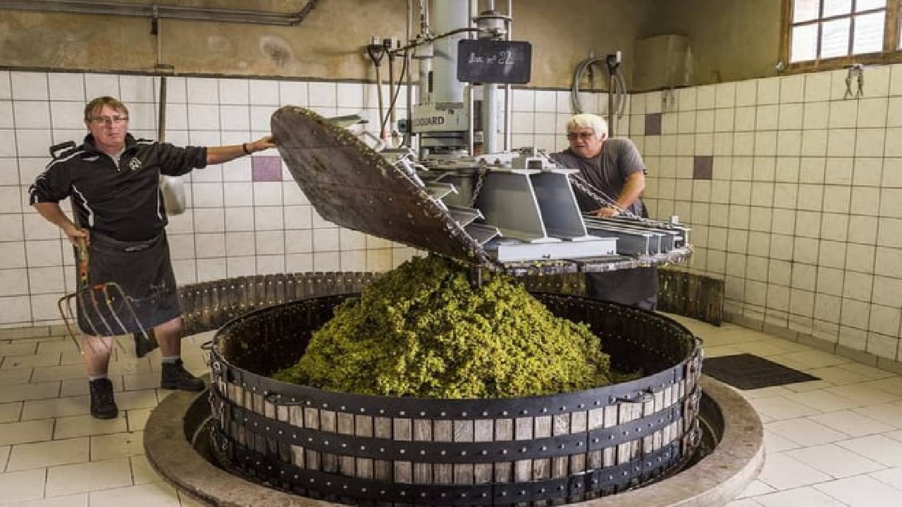 Private Champagne Day Trip - Two Vineyards of Reims & Lunch