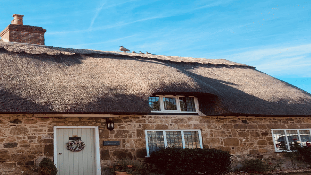 Isle of Wight Day Trip from London Including Osborne House Entry Ticket