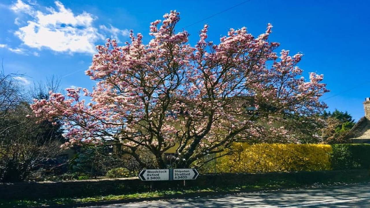 London: Small Group Cotswolds Day Trip Including Bourton-on-the-Water