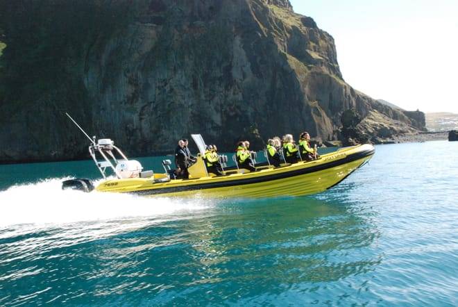 Puffin Tour by RIB Speedboat from Downtown Reykjavik