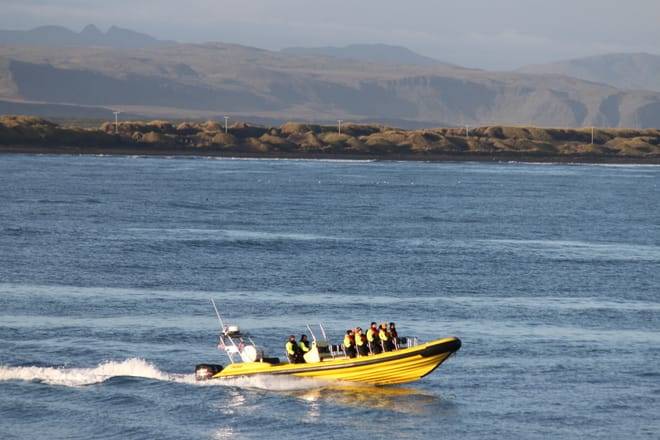 Puffin Tour by RIB Speedboat from Downtown Reykjavik