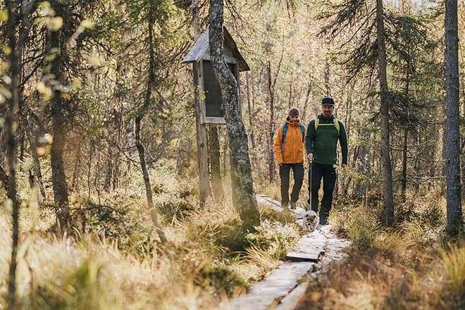 VIKAKONGAS HIKE Nature and Silence 