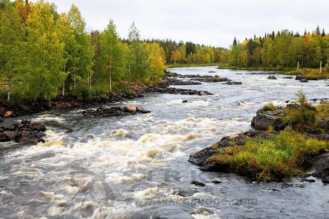 VIKAKONGAS HIKE Nature and Silence 