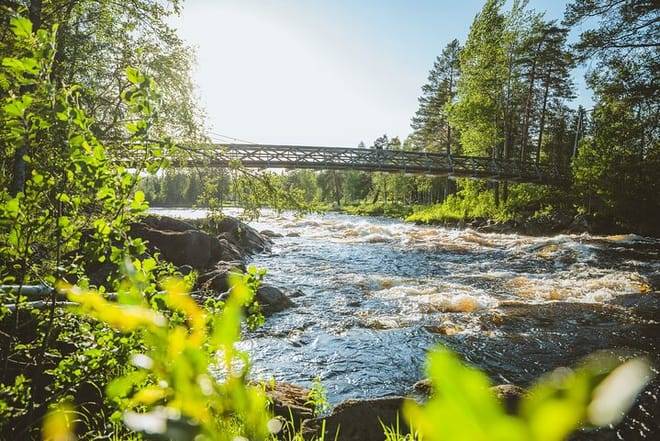 VIKAKONGAS HIKE Nature and Silence 