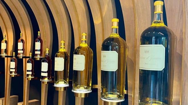 Graves & Sauternes : Private Half Day Tour in a Citroën 2cv