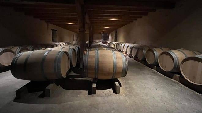 Graves & Sauternes : Private Half Day Tour in a Citroën 2cv