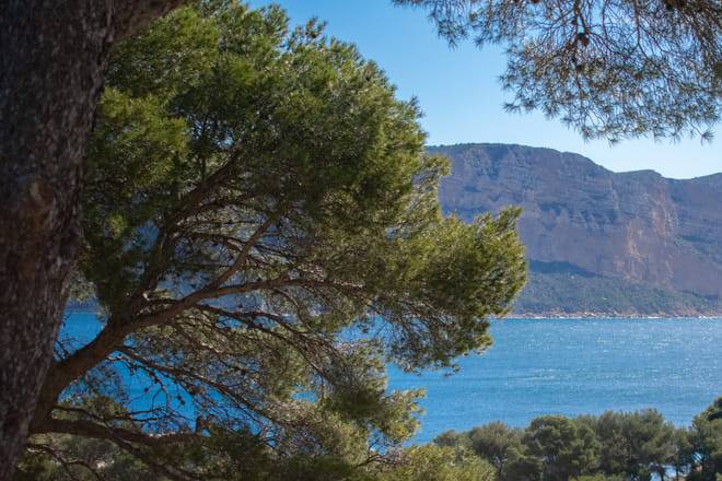 Hiking in the Calanques national park from Luminy 