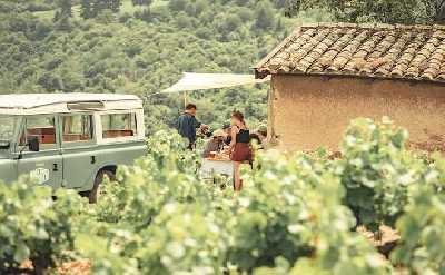 Private Full Day Beaujolais Wine Tour from Lyon