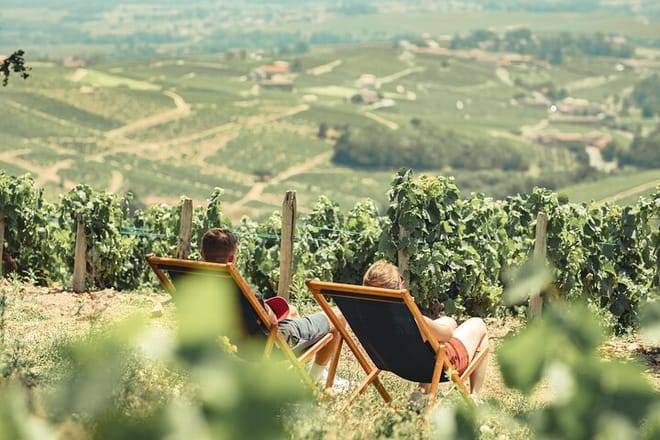 Private Full Day Beaujolais Wine Tour from Lyon