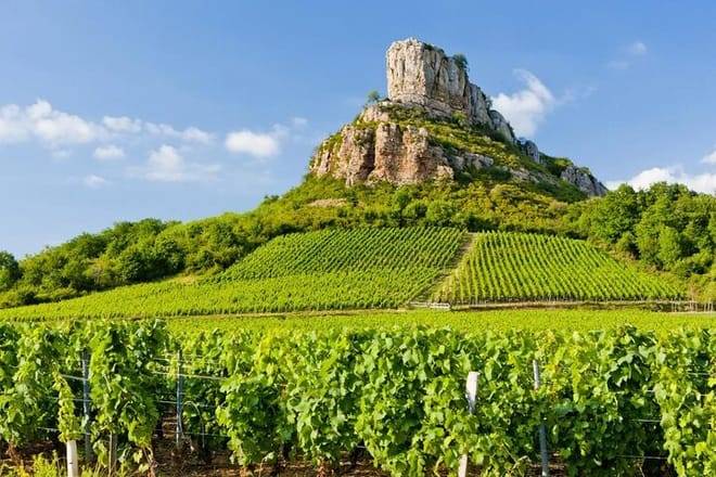Private Full-Day Burgundy and Beaujolais Wine Tour from Lyon