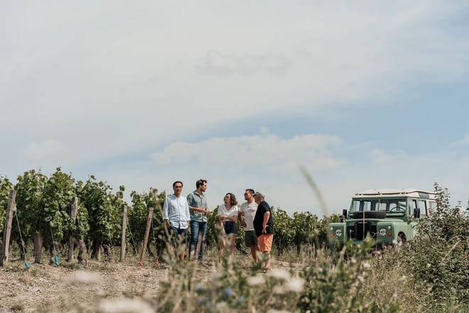 Private Half Day Beaujolais Wine Tour from Lyon