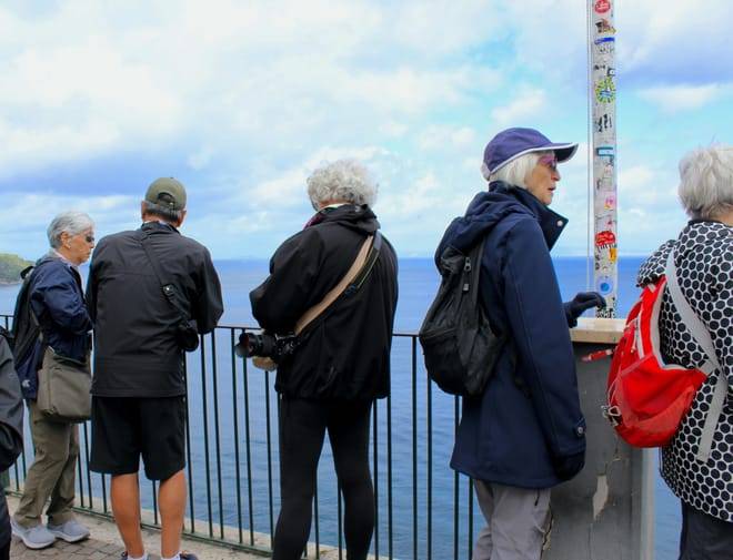 Amalfi Coast Semi Private Tour from Naples: Stops in Positano, Sorrento and Amalfi