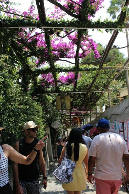 Amalfi Coast Semi Private Tour from Naples: Stops in Positano, Sorrento and Amalfi